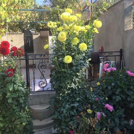 Apartament Sofia 第比利斯 外观 照片