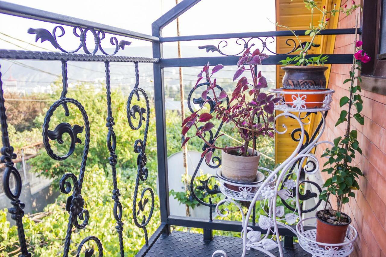 Apartament Sofia 第比利斯 外观 照片