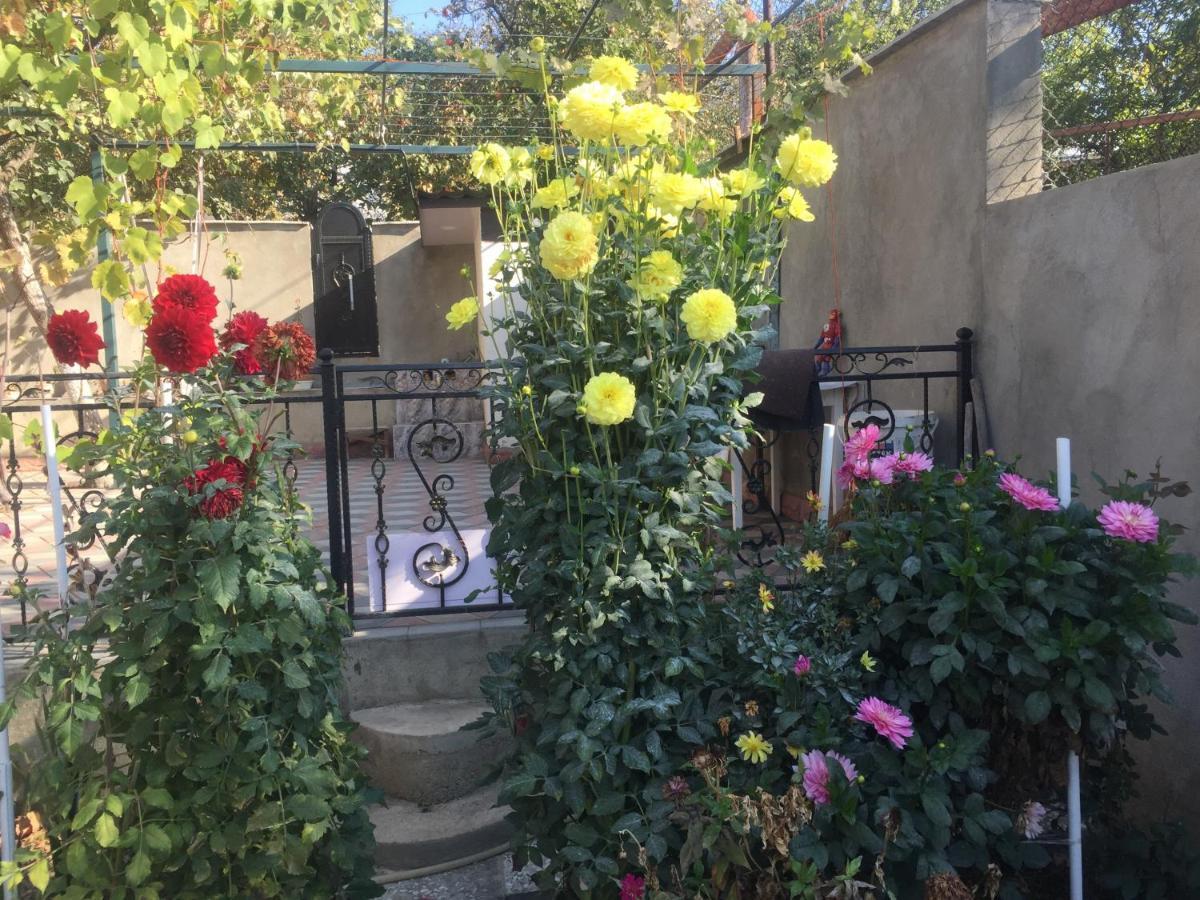 Apartament Sofia 第比利斯 外观 照片